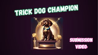 Can a Cockapoo be a Trick Dog Champion?!