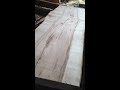 【原木製材】岩手産のイタヤカエデを製材しました。その1【木の店さんもく】japanese wood sawing