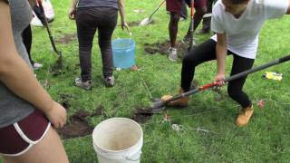 Part 1: Ground Breaking, The Archaeology of Harvard Yard