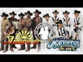 conjunto amanecer vs marineros del norte viejitas pa pistear 🍺