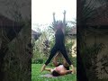 pop tempo pop linking some icarian moves 🤓 the acroyoga show shorts