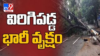Hyderabad : Heavy rain lashes Kukatpally  - TV9