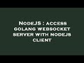 NodeJS : access golang websocket server with nodejs client