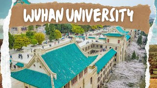 Wuhan University Sakura 2024 | Beautiful Bird Eye Drone Tour at China's Most Beautiful University