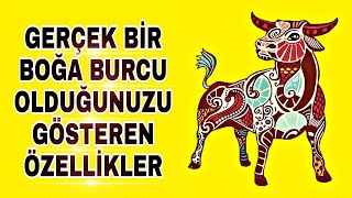 GERÇEK BİR BOĞA BURCU OLDUĞUNUZU GÖSTEREN ÖZELLİKLER !! KADIN ERKEK BOĞA BURÇLARI VE BİLİNMEYENLERİ