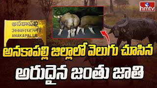 Anakapalli : అనకాపల్లి  జిల్లాలో వెలుగు చూసిన అరుదైన జంతు జాతి | Wild Animals In Anakapalli | hmv