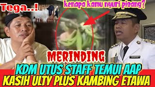 MERINDING❗KDM KAGET DENGAR PENJELASAN AAP! UTUS STAFF UNTUK CROSCEK!