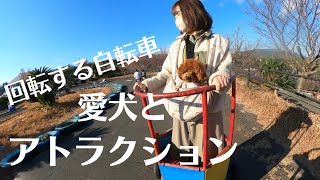 【愛犬】伊豆グランパル公園でアトラクション乗った！