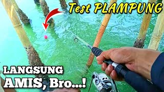 Test Pelampung Pancing dari Penggilesan Mertua || Langsung AMIS (Fishing Float Trial)