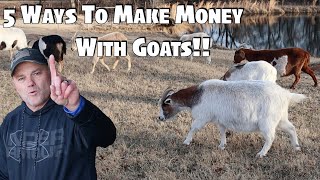 5 Ways To Make Money Raising Goats