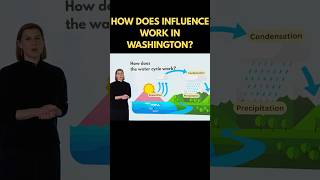 How does political influence work in Washington?