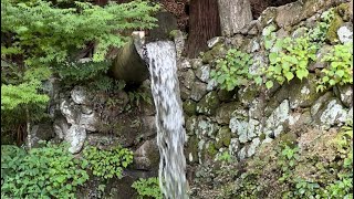 夏休み家族旅行(3日目、最終日)240810