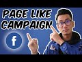 Page Like Campaign Tutorial - Get Facebook Page Likes Under $0.05