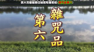 2024 06 第0531部 廣大寶樓閣善住秘密陀羅尼經(雜咒品第六)