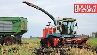 Modderen in de mais met Mengele SF6600 | Stuck in the mud | Mais hakselen | Chopping maize