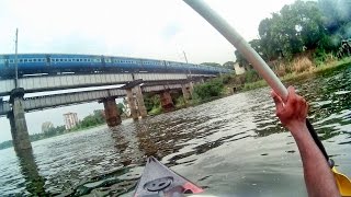 Kayaking in Kochi Aluva manapuram, Kadamakudy