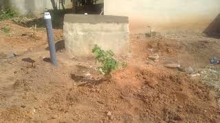 MASTERHOUSE Biodigester Toilet System - LA TIERRA Logistics 3