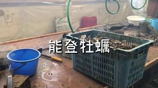 vlog 能登牡蠣を食べに中島町へ（Noto Oyster）