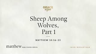 Sheep Among Wolves, Part 1 (Matthew 10:16–23) [Audio Only]