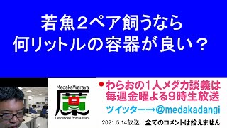 若魚２ペア飼うなら何リットルの容器が良い？ 滋賀県のメダカ販売店 めだか藁屋 高木正臣