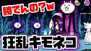 オイ、ぐっち。狂乱キモネコに勝てんの？基本キャラとにゃんコンボ戦略でノーコン目指す！にゃんこ大戦争