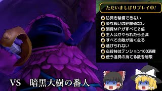 【ゆっくり実況】ドラクエ10 オフライン 全縛りプレイ part14