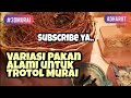 Tips Pakan Alami Trotol Murai & Cara Melolohnya