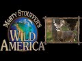 Wild America Season 3 Episode 8 | Pennsylvania Whitetail | The Dock