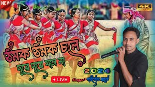 Thomok Thomok Chole Dure Durejas na || ঠমক ঠমক চলে দূরে দূরে যাস না || Paritosh Mahato || Jhumursong