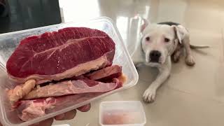 🐄🐶🍖Premium RAW food feeding for nomyen The Pit Bull [ASMR] MUKBANG 犬が生の肉を食べる[咀嚼音] Dog VLOG