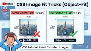 html and css tutorial for beginners, html css full course #coding @iyacynthia @BallEditzLM10