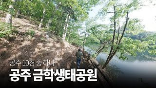 공주10경 중 하나, 금학생태공원