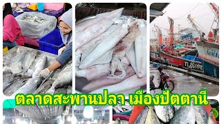 ตลาดปลาสด สะพานปลาปัตตานี ในเดือนรอมฎอน มีปลาอะไรบ้าง??