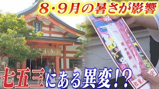 七五三に異変　お参りは１１月に集中する傾向戻る　猛暑で七五三の撮影予約が遅れている