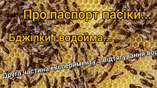 Про ветеринарно-санітарний паспорт на пасіку, бджілок біля водойми і продовження експерименту .