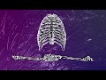 OSVISS - Oxygen [OFFICIAL LYRIC VIDEO]