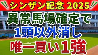 シンザン記念2025 競馬YouTuber達が選んだ【確信軸】中京で人気馬総崩れ？いや、唯一買える1強！