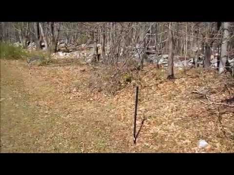 Electric Deer Fence Works And Why I Think It Is Effective Electric Deer Fence Works And Why I Think It Is Effective