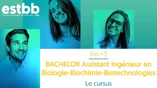 ESTBB Le cursus du Bachelor Assistant Ingénieur en Biologie Biochimie Biotechnologies (Bac+3)