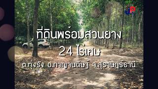 ที่ดินสวน 24ไร่ กาญจนดิษฐ์ l JP Real Estate รับฝากขายบ้าน ที่ดิน สุราษฎร์ธานี