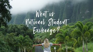 What is NSE - National Student Exchange Student Interviews