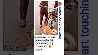 जानवरो पर भरोसा करो इंसान 🥺|| #dogs #animals #bharosha #animalshorts #doglover #motivation #shorts