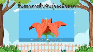 สื่อการสอนรายวิชาชีววิทยา เรื่อง การสืบพันธุ์ของพืชดอก