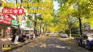 浙江安吉 - “绿水青山就是金山银山”发源地｜Zhejiang Beautiful County, Anji, Huzhou driving -4K