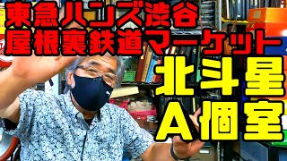 【鉄道冒険団】2021東急ハンズ渋谷屋根裏鉄道マーケット #鉄道即売会 #北斗星 #鉄道模型 #鉄道イベント #カラマツトレイン