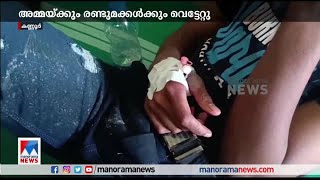 വഴിത്തര്‍ക്കത്തെ തുടര്‍ന്ന്  അമ്മയ്ക്കും രണ്ട് മക്കൾക്കും വെട്ടേറ്റു | Kannur Family attack