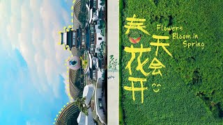 《春天花会开》民乐合奏版  喝着茶，奏着歌，抓住春天的尾巴啊#cover #chinesemusic #music #二胡 #spring