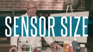 The Basics of Sensor Size: FocusEd