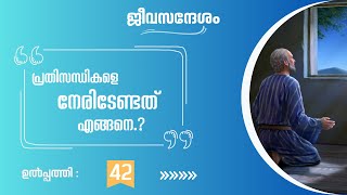 46 - പ്രതിസന്ധികളെ നേരിടേണ്ട വിധം | ഉൽപ്പത്തി 42 | Genesis 42 | TTB Malayalam | Bible Study