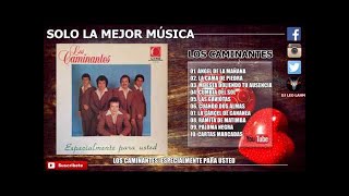 Ⓗ Los Caminantes - Albúm: Especialmente Para Usted(1983) | CD Completo + LINK DE DESCARGA